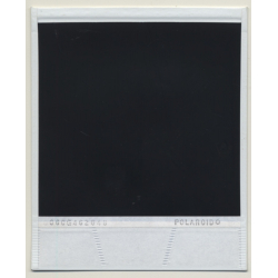 Photo Art: Red Wooden Fence / Tree (Vintage Polaroid SX-70 1980s)