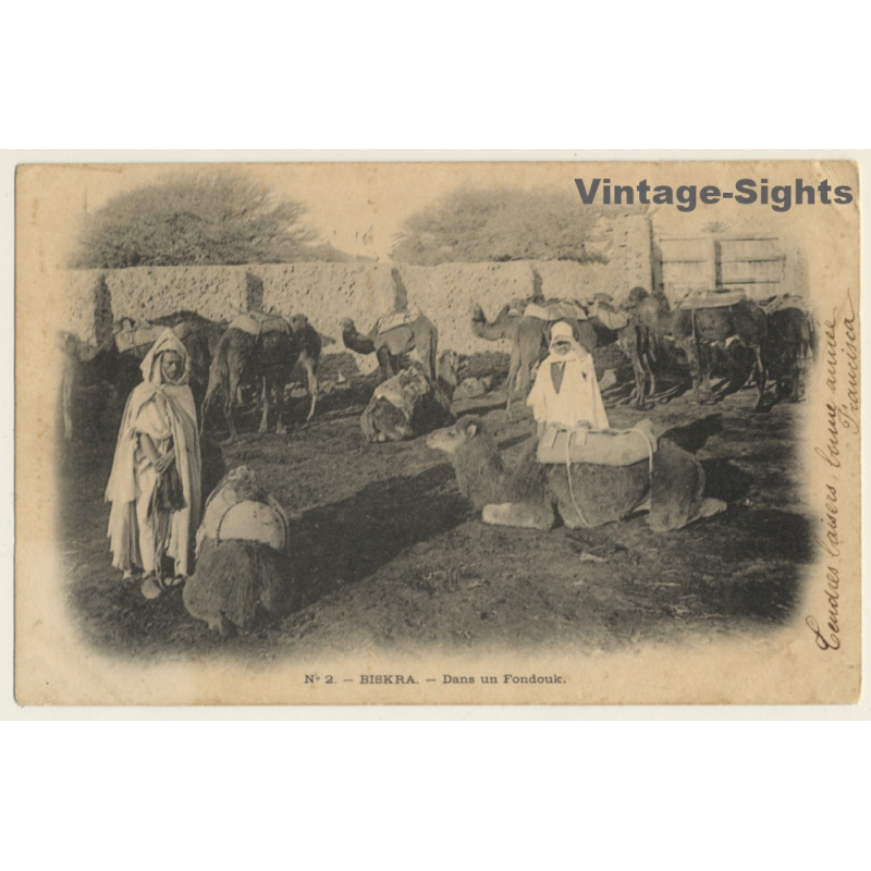 Biskra / Algeria: Dans Un Fondouk / Camels - Berber (Vintage PC 1902)