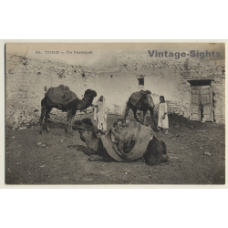 Tunis / Tunisia: Un Fondouk / Camels - Berber (Vintage PC ~1910s/1920s)