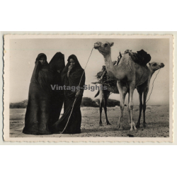 Mauritania: 3 Moorish Females & Camels / Nijab - Ethnic (Vintage RPPC)
