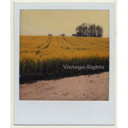 Photo Art: Rapeseed Field II (Vintage Polaroid SX-70 1980s)