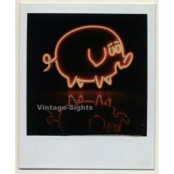 Photo Art: Neon Pig (Vintage Polaroid SX-70 1980s)