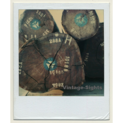Photo Art: Wood Logs V (Vintage Polaroid SX-70 1980s)