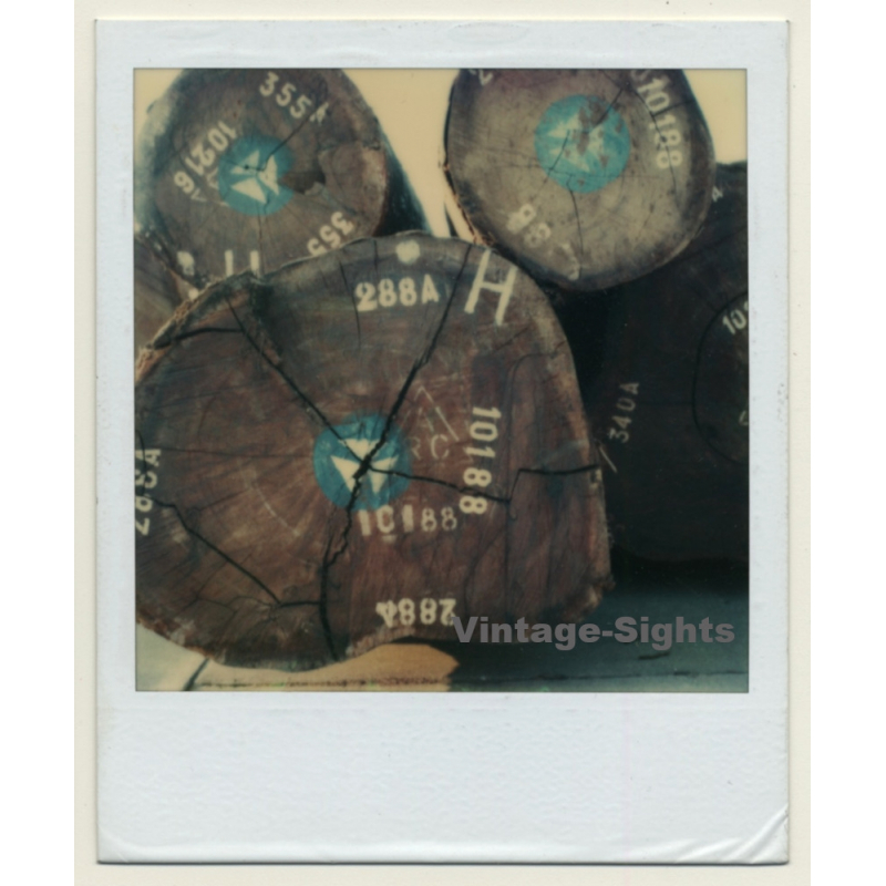 Photo Art: Wood Logs V (Vintage Polaroid SX-70 1980s)