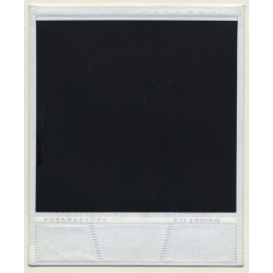 Photo Art: Wood Logs V (Vintage Polaroid SX-70 1980s)