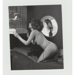 Pretty 1950s Nude Admires Parrot In Cage / 50s Design - Suspenders (Vintage Amateur Photo)