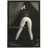 Rear View: Leggy Semi Nude Female In Front Of Curtains / Butt (Vintage Photo France ~1980s)