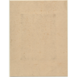 Antique Bust: Pretty Girl With Wreath Of Flowers / Torso (Vintage Albumen Silver Print ~1900s)