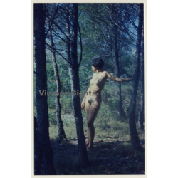 R.Folco: Slim Shorthaired Nude Woman In Forest / Nudism (Vintage Photo France 1980s)