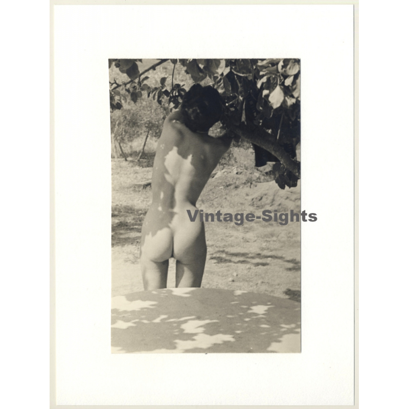 R.Folco: Rear View On Natural Nude Under Tree (Vintage Photo France 1960s)