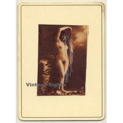 French Nude *2 / Risqué (Vintage Photo Transparency Film On CDV  ~1900s)