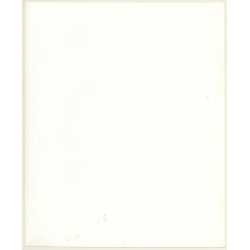 Nitty Gritty Dirt Band - United Artists (Vintage Press Photo 1970s)