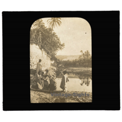 Maghreb / Africa: Nomads At Oasis / Palm Trees (Vintage Glass Dia Positive 1910s)