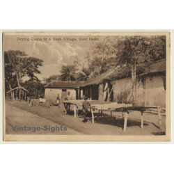 Gold Coast / Ghana: Cocoa Plantation - Drying (Vintage PC 1933)