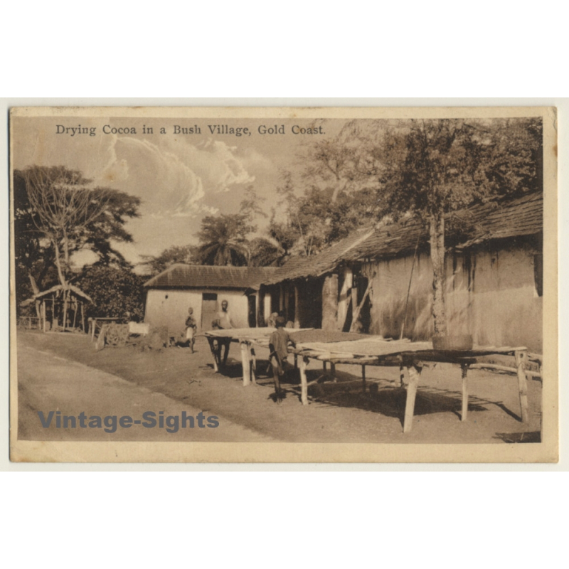 Gold Coast / Ghana: Cocoa Plantation - Drying (Vintage PC 1933) Gold Coast / Ghana: Cocoa Plantation - Drying (Vintage PC 1933)