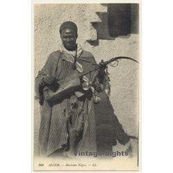 Algeria: Native Musician / Gimbri - Gnawi - Ethnic (Vintage PC 1909)