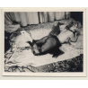 Elegant Brunette Nude With Black Cloth*13 / Risqué (Vintage Photo ~1940s/1950s)