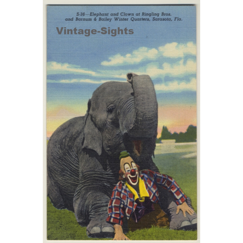 Elephant & Clown / Ringling Bros, Barnum & Bailey Winter Quarters (Vintage Linen PC 1940s) Elephant & Clown / Ringling Bros, Barnum & Bailey Winter Quarters (Vintage Linen PC 1940s)