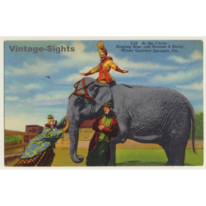 Elephant & Artists / Ringling Bros, Barnum & Bailey Winter Quarters (Vintage PC 1940s)
