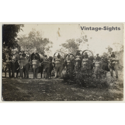 India: Colonial Expedition - Elephant Safari - Large Group (Vintage RPPC ~1920s/1930s)