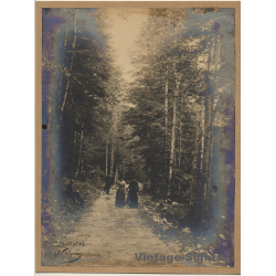 J. Falque: 2 Victorian Couples Walking In Birch Forest (Vintage Photo 1893)