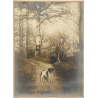 J. Falque: 2 Dogs In Birch Forest / Epagneul Breton (Vintage Photo 1890s)