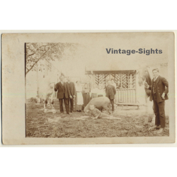 German Peasant Family With Horses & Sheep (Vintage RPPC ~1920s)