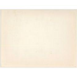 Lydia Nash: English Bulldog On Leash*2 / Tongue Out (Large Vintage Photo 1980s)