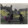 Lydia Nash: Chicken - Poultry (Large Hand Colored Vintage Photo 1980s)