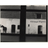 Lydia Nash: View On Horse Through Window (Large Vintage Photo 1980s)