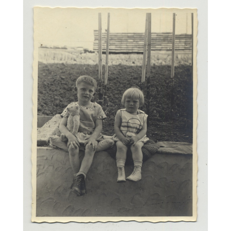2 Blonde Sisters & Teddy Bear Sit On Wall (Vintage Photo 1931)