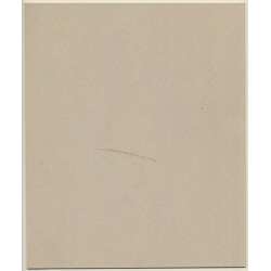 Jerri Bram (1942): Tree Alley - Dogs - France 1968 (Vintage Signed Photo)