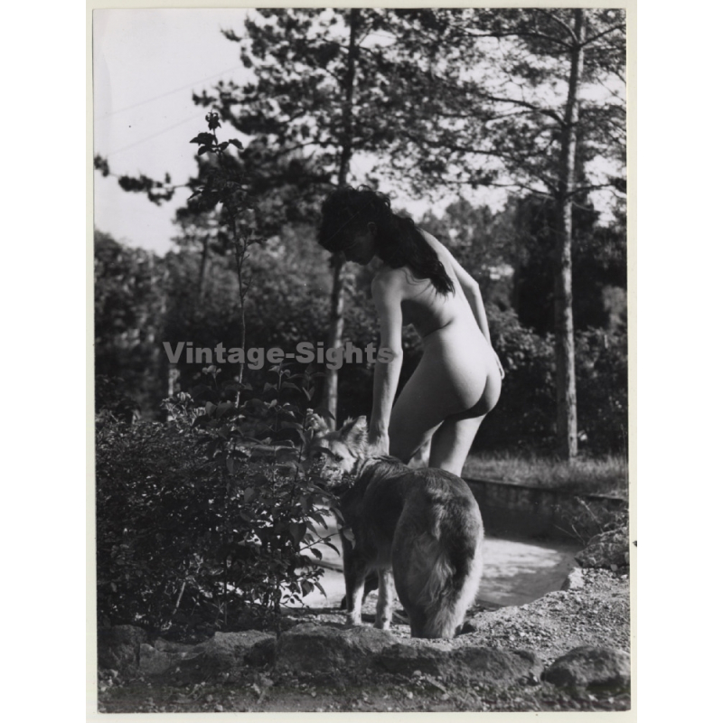 Slim Darkhaired Nude Outdoors W. German Shepherd (Large Vintage Photo ~1960s/1970s)