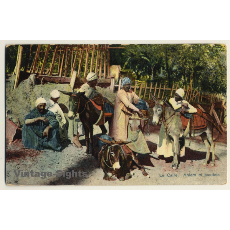 Cairo: Aniers Et Baudets / Donkey - Ethnic (Vintage PC ~1900s) Cairo: Aniers Et Baudets / Donkey - Ethnic (Vintage PC ~1900s)