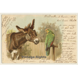 Donkey & Parrot / Mule (Vintage PC 1902)