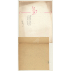 Hiroshima: After Bombing & 9 Years Later Rebuilt (Vintage Press Photo 1954)