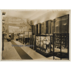 Exhibition Room Of Ethnological Museum / Tervuren?  - Art Deco (Vintage Photo ~1910s/1920s)