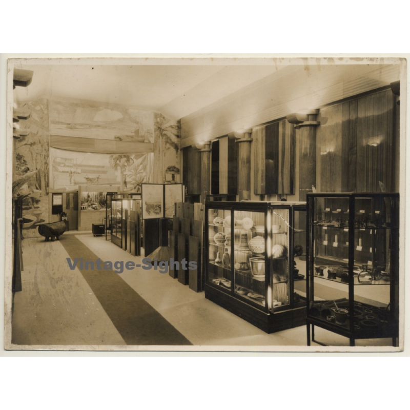 Exhibition Room Of Ethnological Museum / Tervuren? - Art Deco (Vintage Photo ~1910s/1920s) Exhibition Room Of Ethnological Museum / Tervuren? - Art Deco (Vintage Photo ~1910s/1920s)