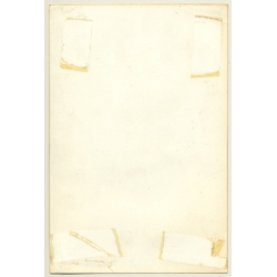 Johnny Hallyday /  Black T-Shirt & Snake Tattoo (Vintage Press Photo ~1980s)