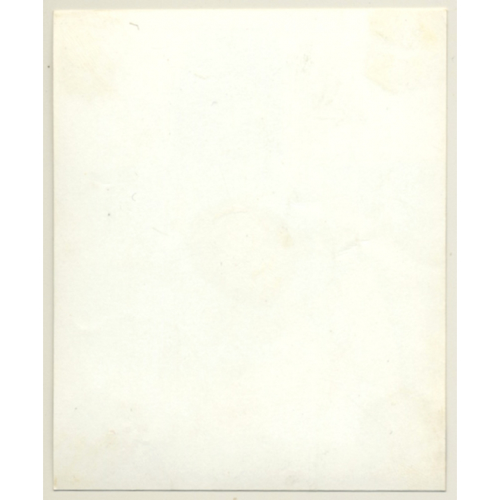 Topless Sixties Beauty WIth Beehive (Vintage Photo Print ~1960s)