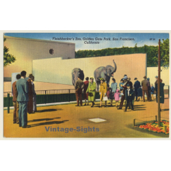 San Francisco: Fleishhacker's Zoo / Elephants (Vintage Linen PC 1940s)