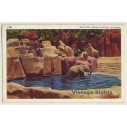 Chicago: Brookflied Zoo / Elephant (Vintage PC 1940s)