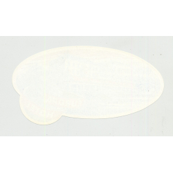 Europa Hotel - Königswinter-Rhein / Germany (Vintage Luggage Label)