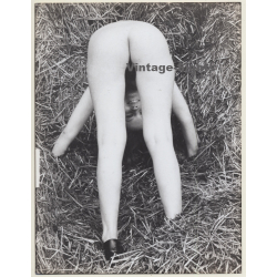Artistic Nude: Female Bends Down & Looks Through Her Legs / Hay (French Master Photo 60s/70s)