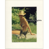 R.Folco: Natural Nude Female Outdoors With Kitten / Hat (Vintage Photo France 1980s)