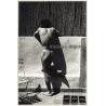 Jerri Bram (1942): Muscular Nude Man / Rear View - Gay INT (Vintage Photo ~1970s)