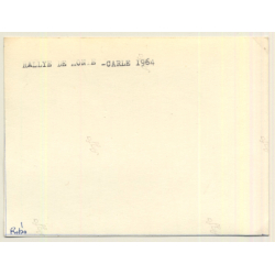 Rallye Monte Carlo 1964: N°176 Alfa Romeo Giulia TI / Allegrini (Vintage Photo)