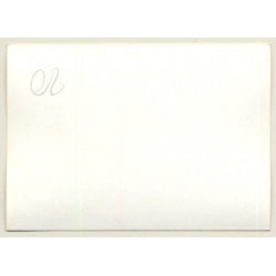 Nivelles-Baulers GP Formula 1: N°8 Francois Cevert - Tyrell 002 Ford (Vintage Photo 1972)