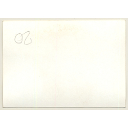 Nivelles-Baulers GP Formula 1: N°36 Andrea De Adamich - Surtees Ford TS9B (Vintage Photo 1972)