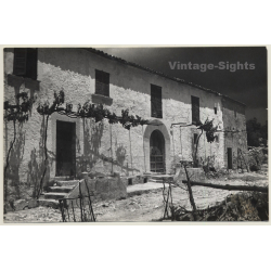 Mallorca Impressions: Finca Facade / Vines (Vintage Photo  ~1960s)